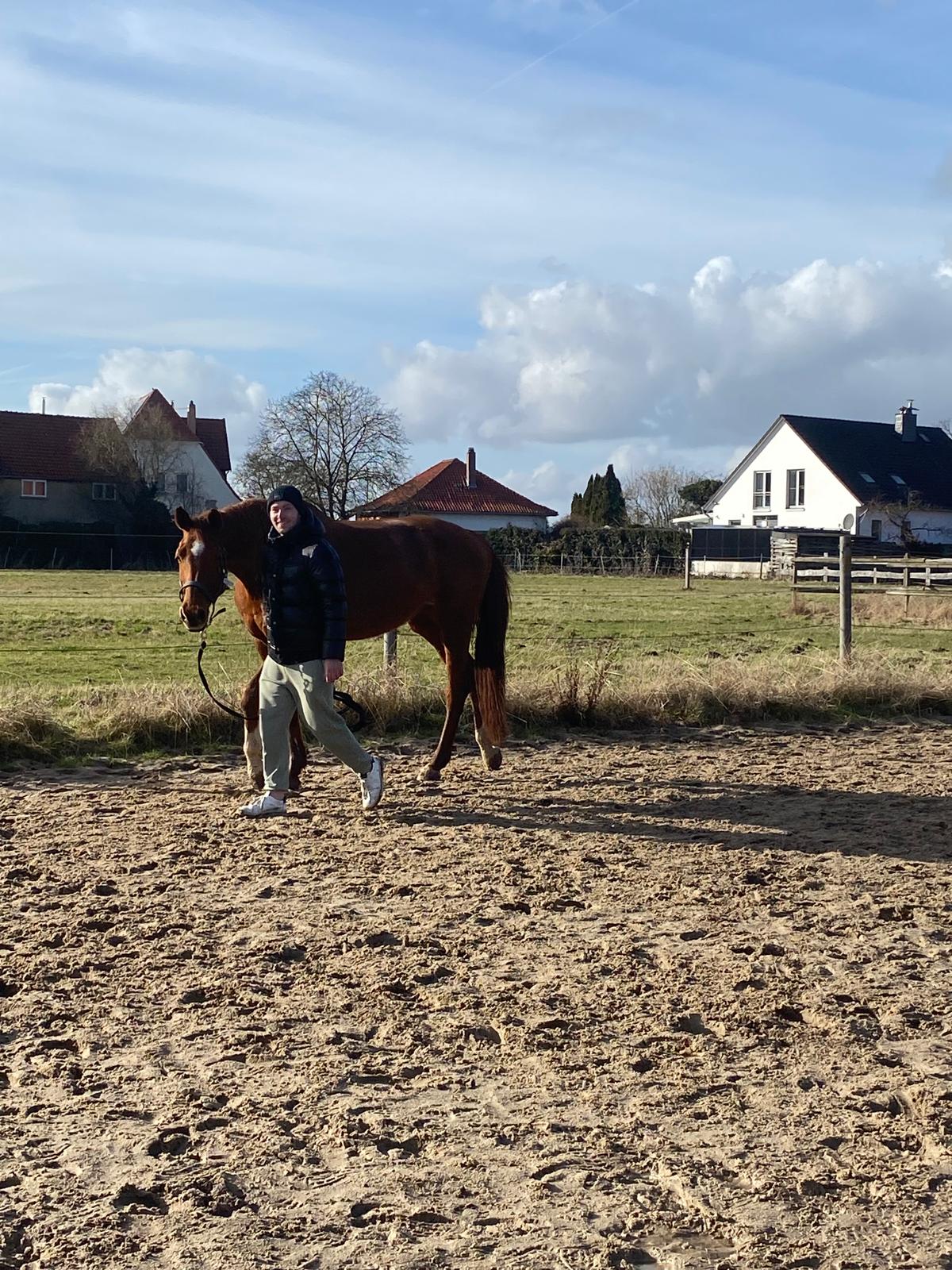 Jan Beckmann mit seinem Pferd